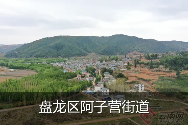 盘龙区阿子营街道
